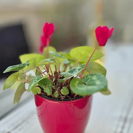 Tena With Private Parking Lägenhet