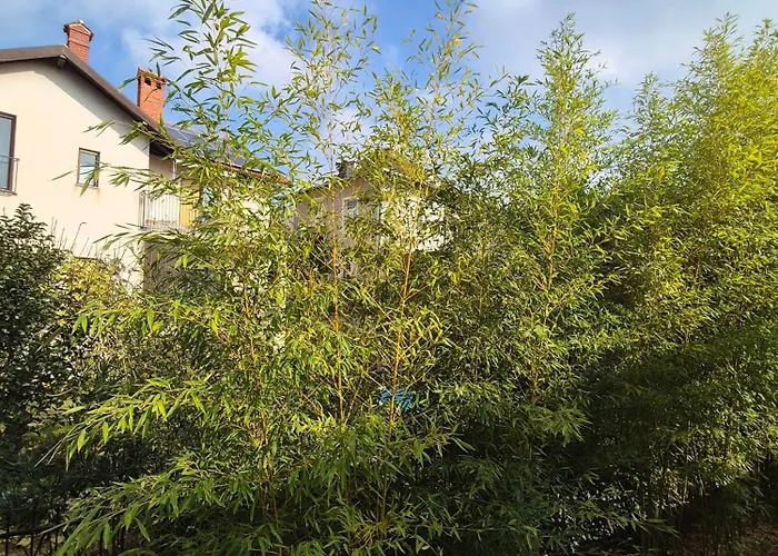 Tena With Private Parking 풀라